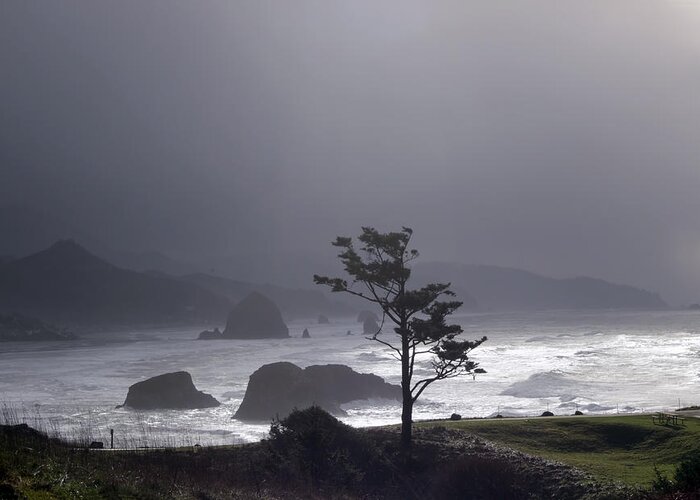 Pacific Ocean Greeting Card featuring the photograph Stormy Beach by Cathy Anderson