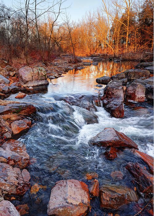 Creek Greeting Card featuring the photograph Stouts Creek Shut-ins by Robert Charity