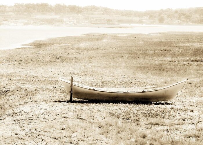 Boat Greeting Card featuring the photograph Stranded by Marcia Lee Jones