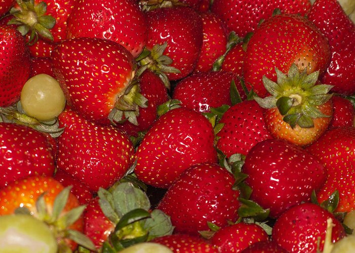 Food Greeting Card featuring the photograph Strawberries 731 by Michael Fryd