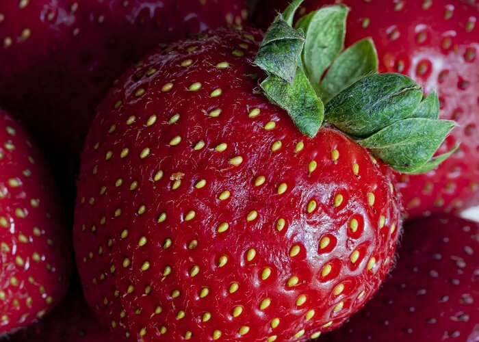 Strawberry Greeting Card featuring the photograph Strawberry 3 by Robert Ullmann
