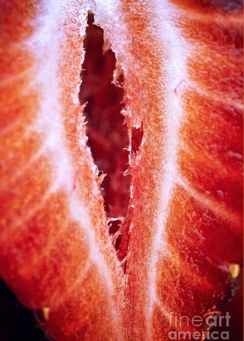 Abstract Greeting Card featuring the photograph Strawberry Half by Ray Laskowitz - Printscapes