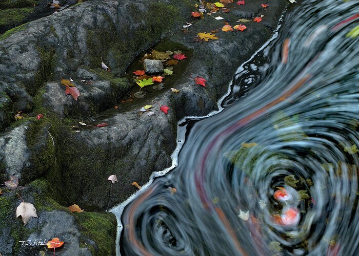 Swirls Greeting Card featuring the photograph Stream swirl on Acadia by Tim Fitzharris