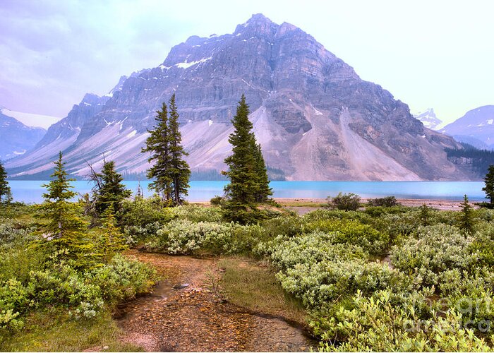  Greeting Card featuring the photograph Streaming Into Bow Lake by Adam Jewell