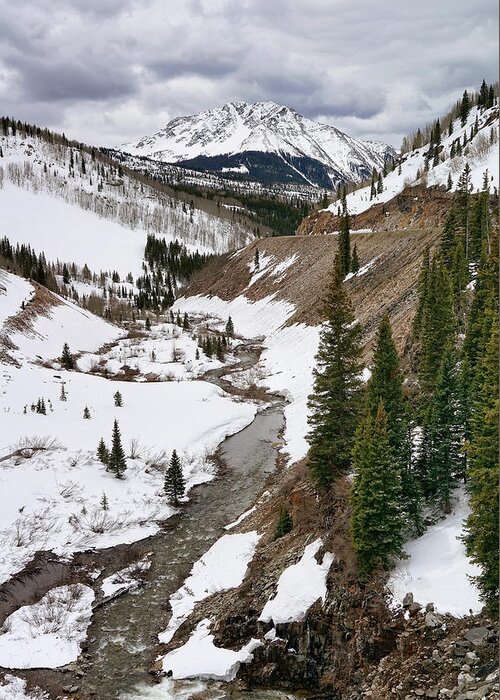 Colorado Greeting Card featuring the photograph Streaming Through the Snow by Leda Robertson