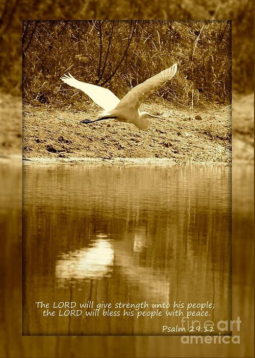 Psalm 29:11 Greeting Card featuring the photograph Strength and Peace by Carol Groenen