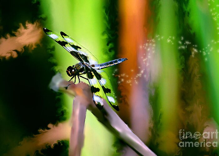 Dragonfly Greeting Card featuring the photograph Striped Dragonfly by Lisa Redfern