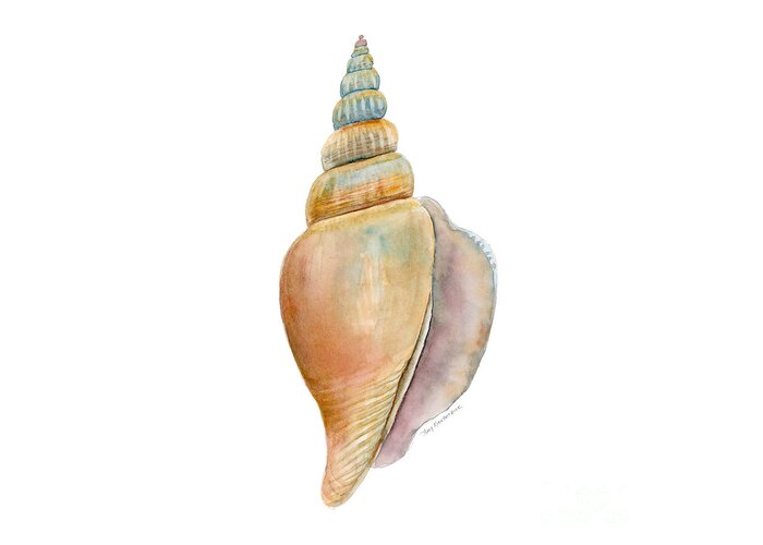 Conch Shell Painting Greeting Card featuring the painting Strombus Vittatus Shell by Amy Kirkpatrick