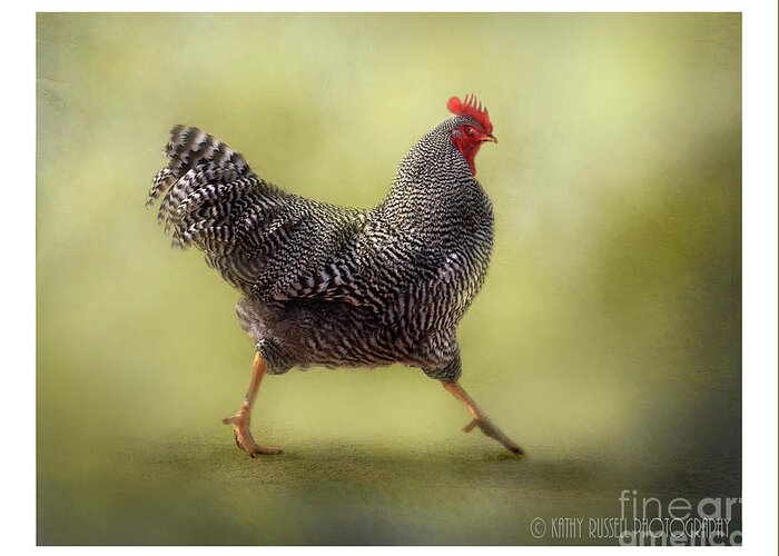 Rooster Greeting Card featuring the photograph Strutting that Stuff by Kathy Russell