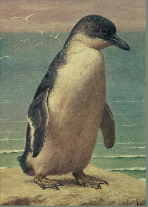 Study Greeting Card featuring the painting Study of a Penguin by Henry Stacey Marks