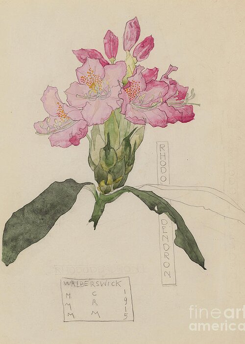 Study Of A Rhododendron Greeting Card featuring the drawing Study of a Rhododendron, 1915 by Charles Rennie Mackintosh