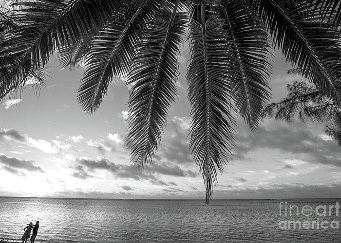 Cook Islands Greeting Card featuring the photograph Sultry South Pacific by Becqi Sherman
