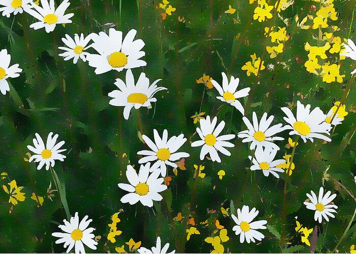 Daisies Greeting Card featuring the digital art Summer Daisies by Julian Perry