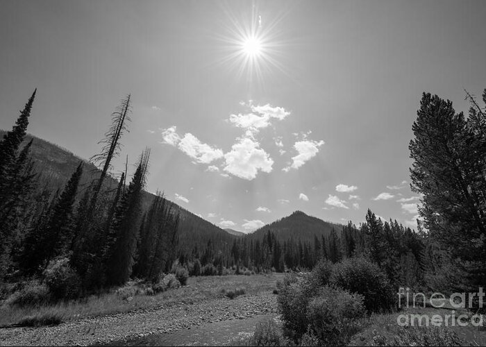 Yellowstone National Park Greeting Card featuring the photograph Sun Rays in Yellowstone BW by Michael Ver Sprill