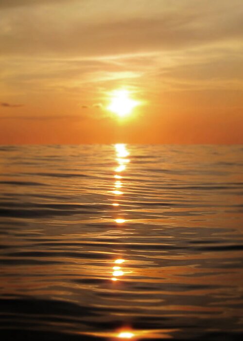 Golden Greeting Card featuring the photograph Sun setting over calm waters by Nicklas Gustafsson
