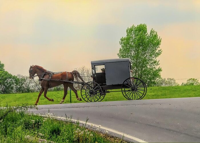 Amish Greeting Card featuring the photograph Sunday Ride at Sunset on Ronks Road by Dyle Warren