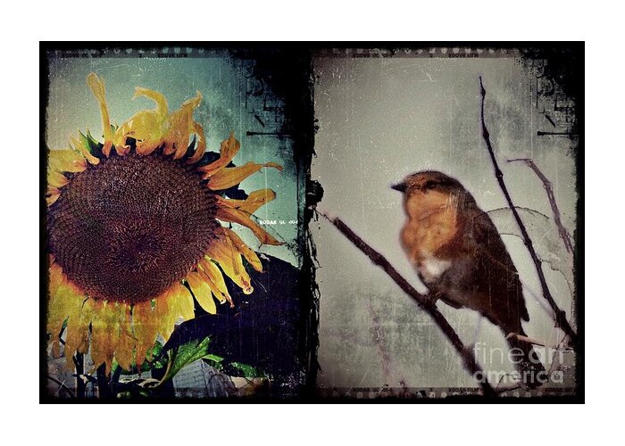 Bird Greeting Card featuring the photograph Sunflower Bird Diptych by Patricia Strand