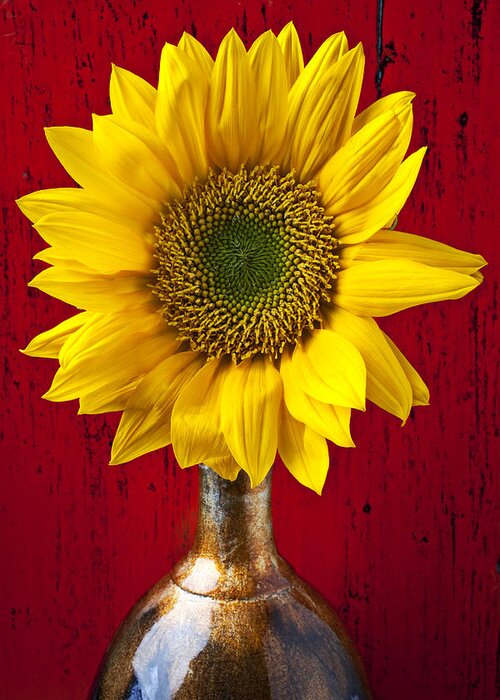 Sunflower Close Up Greeting Card featuring the photograph Sunflower Close Up by Garry Gay