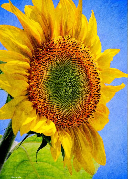 Sunflower Greeting Card featuring the photograph Sunflower Plant by Christina Rollo