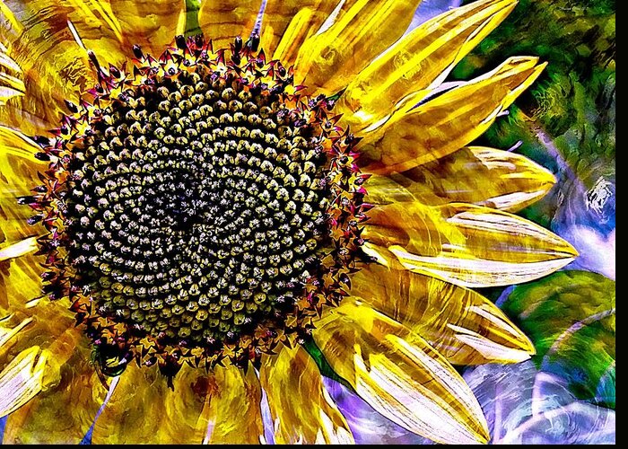Photography By Suzanne Stout Greeting Card featuring the photograph Sunflower Study by Suzanne Stout