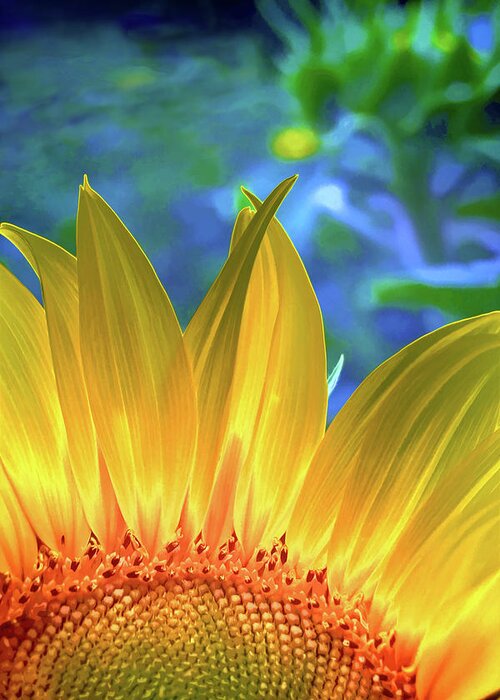 Flower Greeting Card featuring the digital art Sunflower Sunshine by Pennie McCracken
