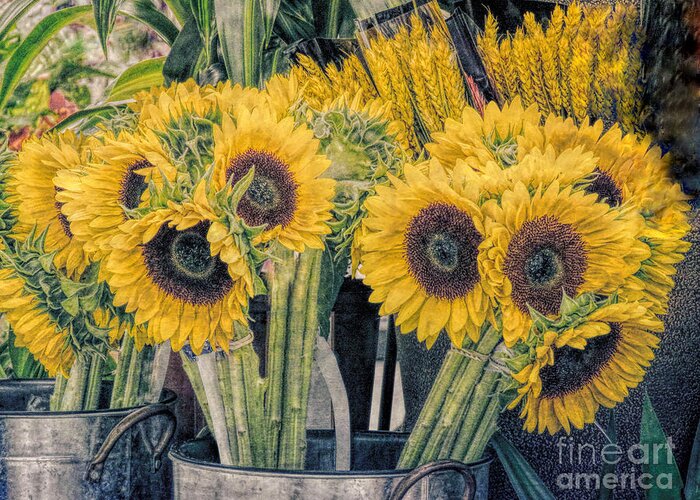 Sunflowers Greeting Card featuring the photograph Sunflowers for Sale by Janice Drew