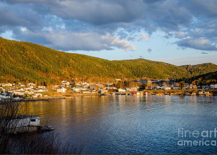 Seal Cove Greeting Card featuring the photograph Sunny Bay by Lisa Killins