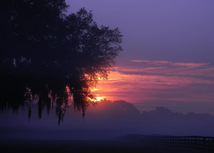 Sunrise And Fog Greeting Card featuring the photograph Sunrise and Fog by Warren Thompson