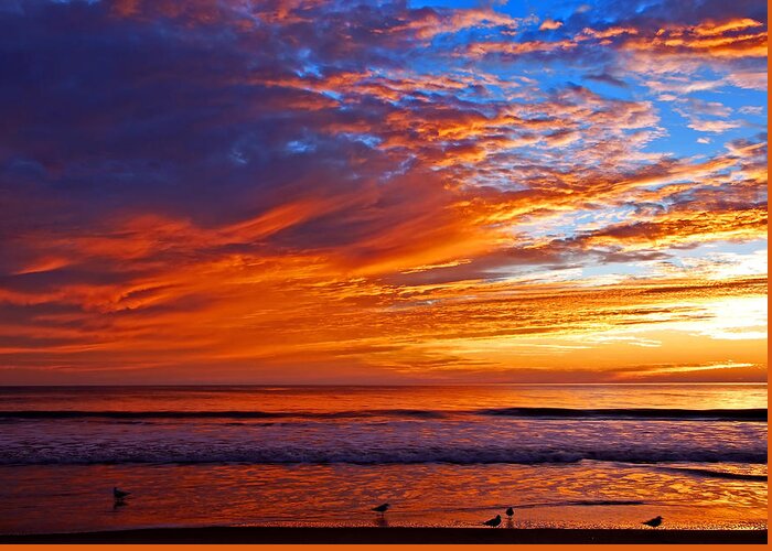 Dawn Greeting Card featuring the photograph Sunrise and seagulls by Bill Jonscher