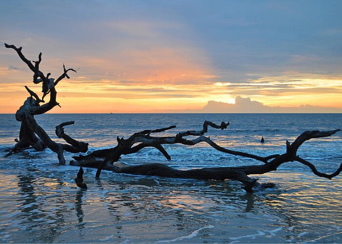 Beach Greeting Card featuring the photograph Sunrise at Driftwood Beach 1.4 by Bruce Gourley