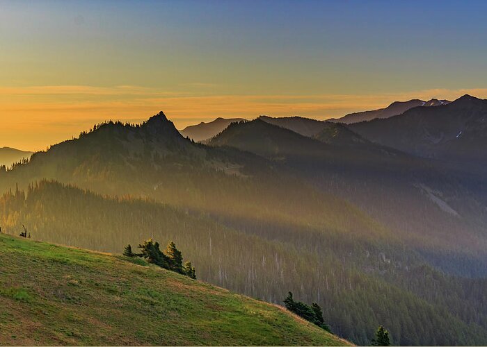 Olympic National Forest Greeting Card featuring the photograph Sunrise at Obstruction Peak by Briand Sanderson