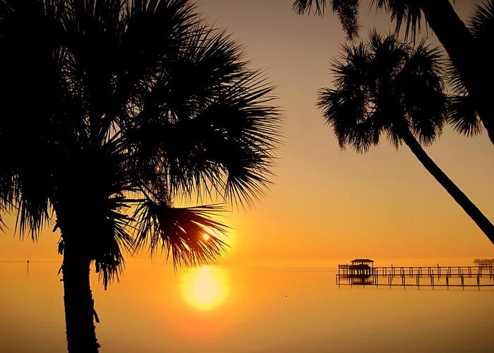 Sunrise Greeting Card featuring the photograph Sunrise at the Space Coast FL by Susanne Van Hulst