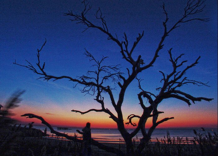 Tree Beach Night Sea Ocean Shore Sand Walk Alone Peace Greeting Card featuring the photograph Sunrise Beach by Robert Och