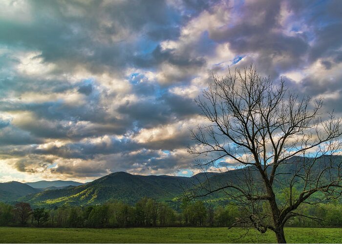 Landscapes Greeting Card featuring the photograph Sunrise Cades Cove by Roberta Kayne