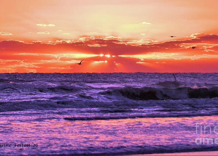 Beach Sunrise Greeting Card featuring the photograph Sunrise DBShores,FL 10-23-16 by Julianne Felton