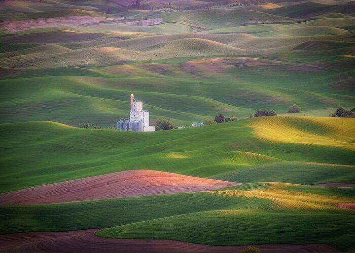 Agriculture Greeting Card featuring the photograph Sunrise from Steptoe butte. by Usha Peddamatham