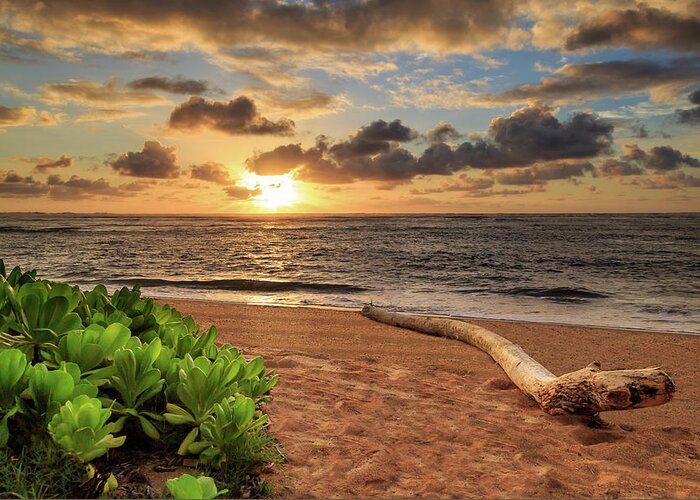 Sunrise Greeting Card featuring the photograph Sunrise In Kapaa by James Eddy