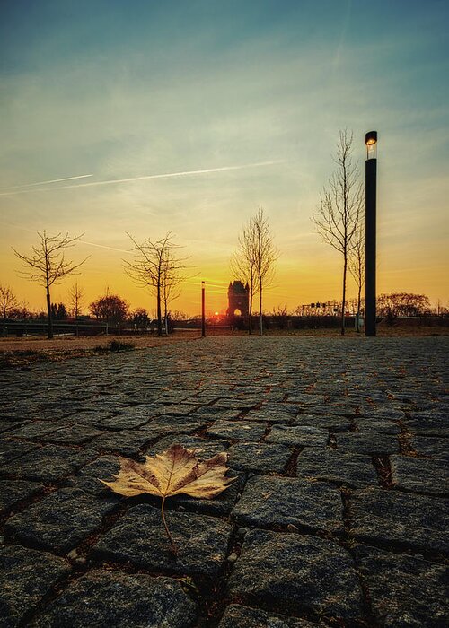 Sunrise Greeting Card featuring the photograph Sunrise in Worms by Marc Braner