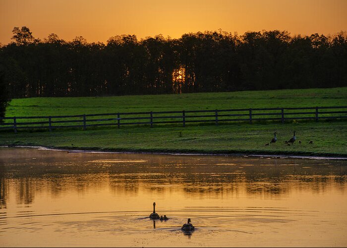 Sunrise Greeting Card featuring the photograph Sunrise on a Gettysburg Duck Pond by Bill Cannon