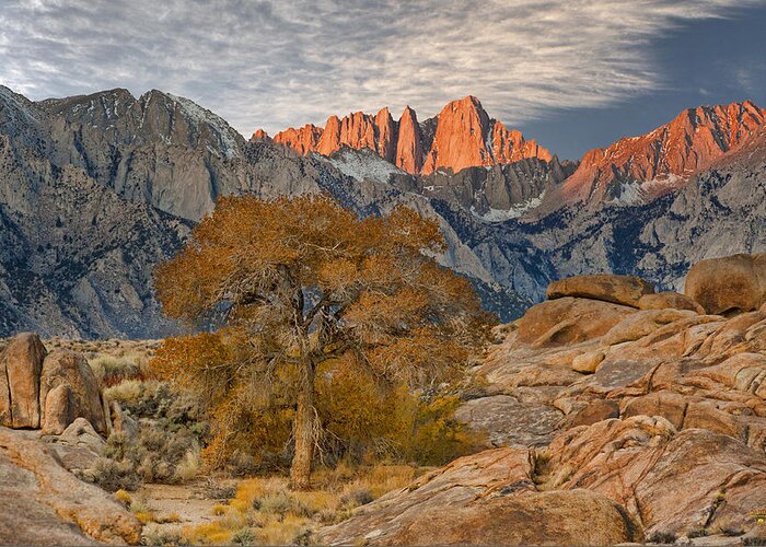 Mt Greeting Card featuring the photograph Sunrise on Mount Whitney - Sierra Nevada, California by Steve Ellison