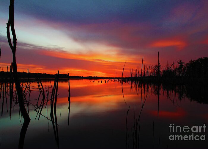 Sunrise Greeting Card featuring the photograph Sunrise Preglow by Roger Becker