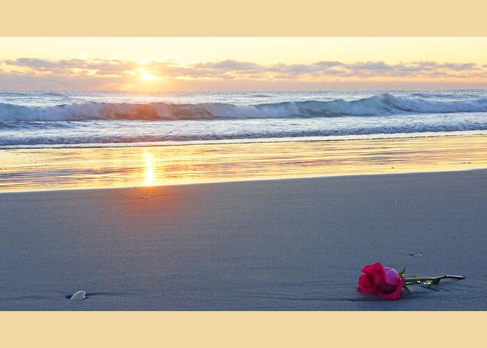 Sunrise Greeting Card featuring the photograph Sunrise Rose by Lawrence S Richardson Jr