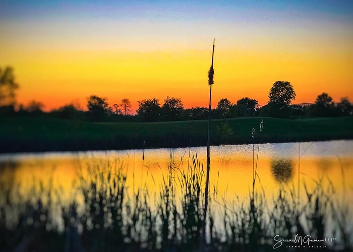 Pond Greeting Card featuring the photograph Sunset Ablaze by Shawn M Greener