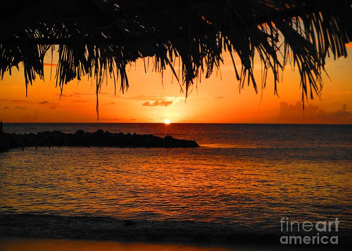 Sunset Greeting Card featuring the photograph Sunset and Fronds by Mafalda Cento