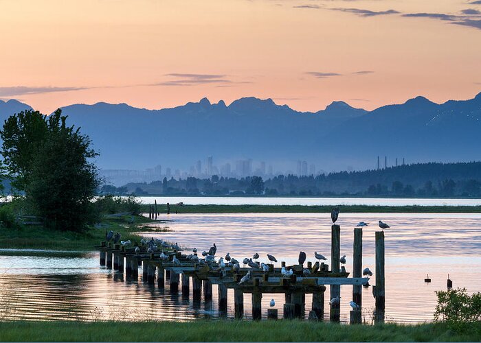 Boundary Bay Greeting Card featuring the photograph Sunset at Blackie Spit by Michael Russell