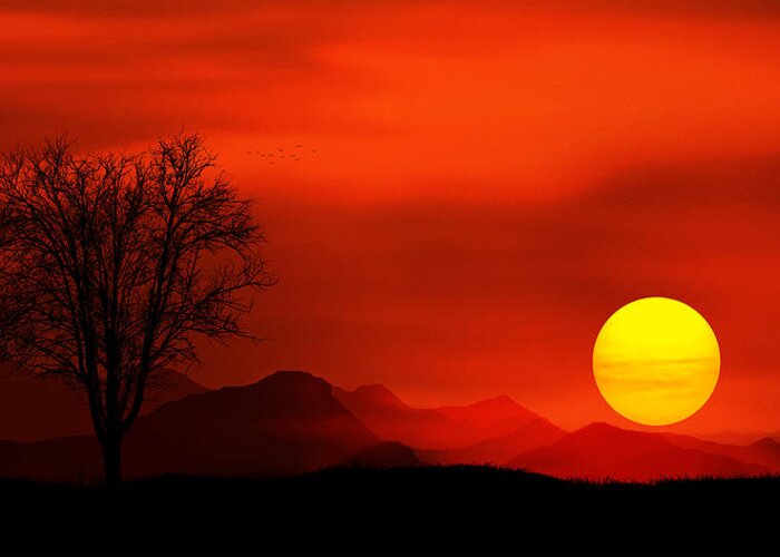 Sunlight Greeting Card featuring the photograph Sunset by Bess Hamiti