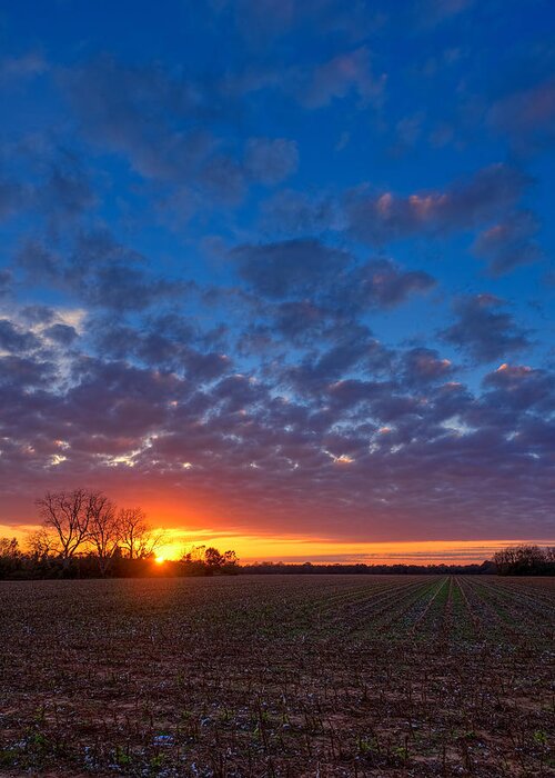 Sunset Greeting Card featuring the photograph Sunset Field by Brad Boland