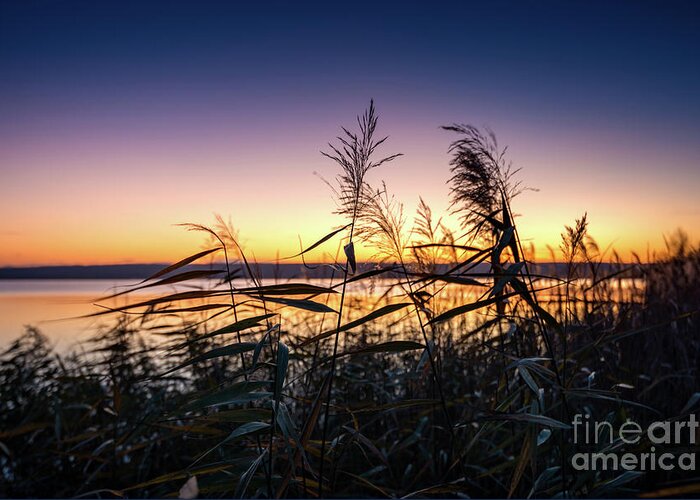 Ammersee Greeting Card featuring the photograph Sunset Impression by Hannes Cmarits
