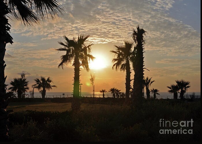 Sunset Greeting Card featuring the photograph Sunset In Netanya 3 by Lydia Holly