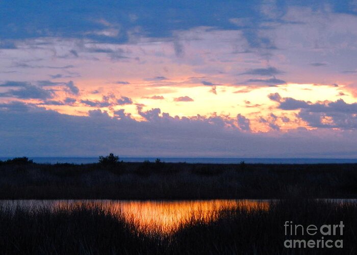 Afterglow Of Sunset Shines Orange In The River Through River Grasses The Greeting Card featuring the photograph Sunset in the river Sea beyond by Priscilla Batzell Expressionist Art Studio Gallery